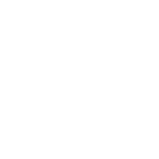 WP Website Designs